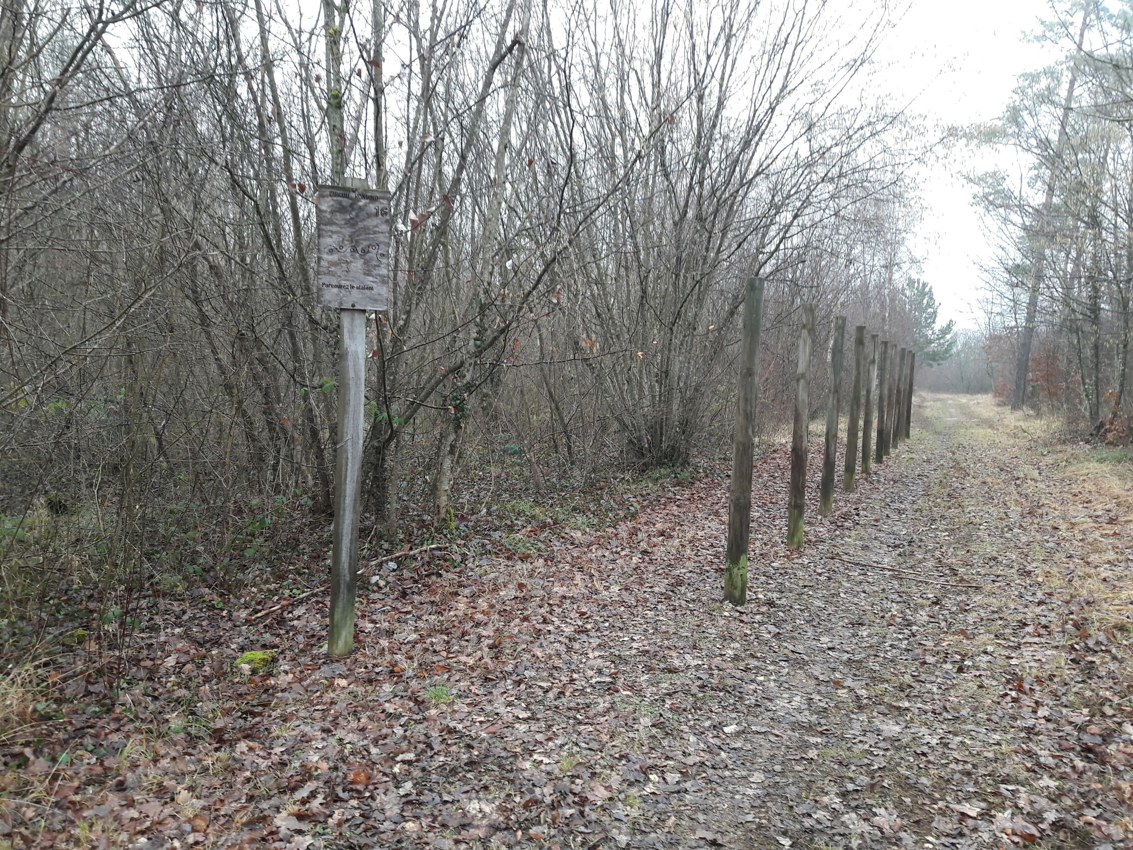 Fitness Station – Slalom