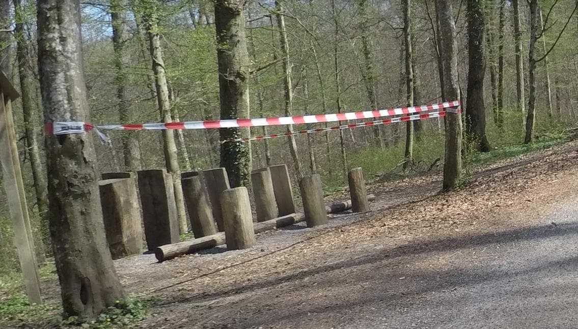 Fitness Station – Kräftigungsstation Rückenmuskulatur