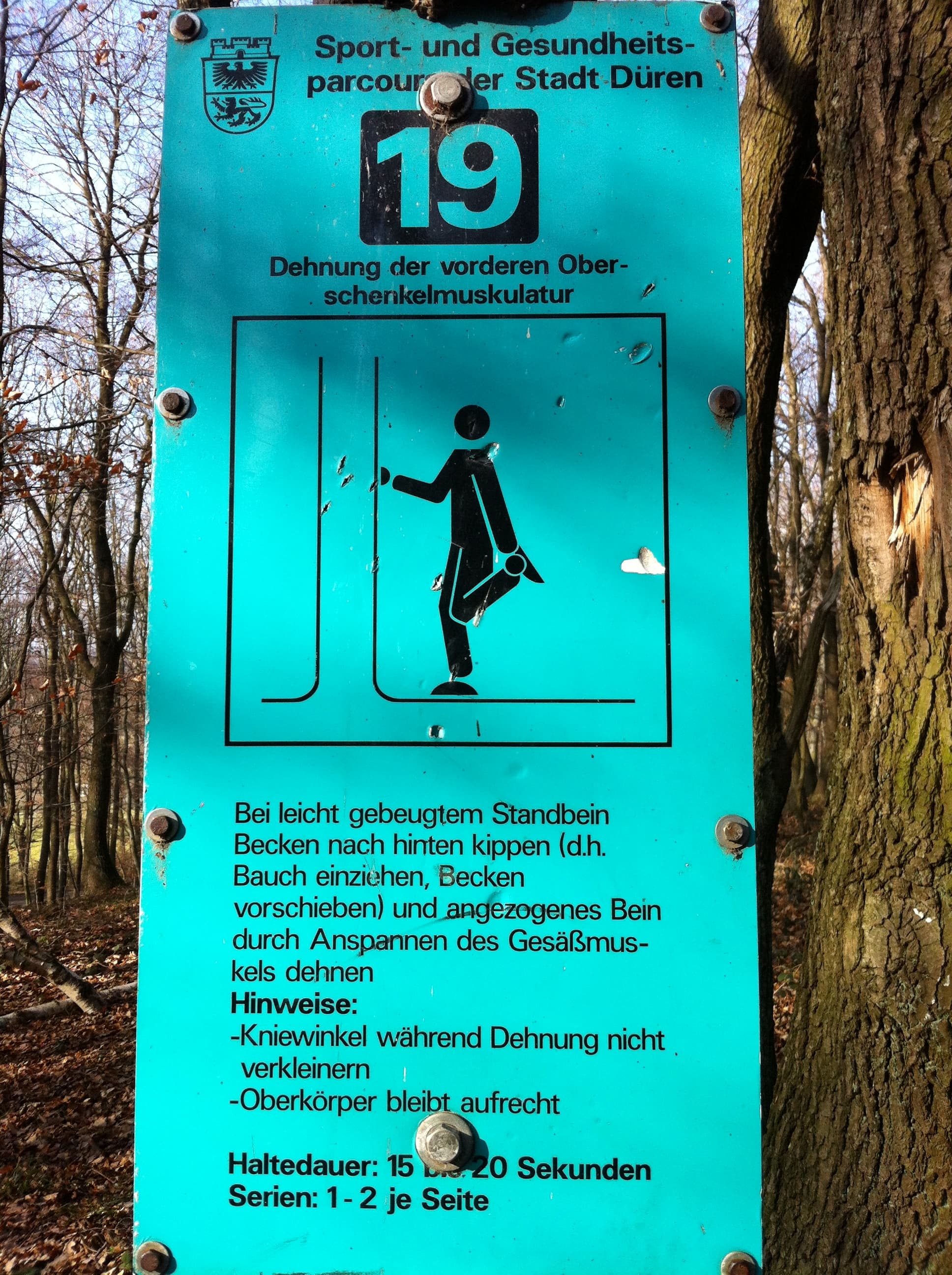 Fitness Station in Lichtung Marieneiche
